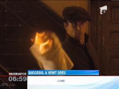 Robert DeNiro, refuzat la primul casting pentru un rol din "Naşul"