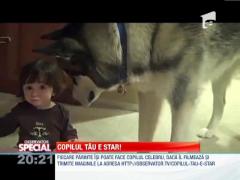 OBSERVATOR SPECIAL: Câinele bonă