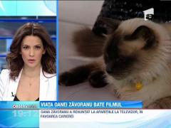 Planul Oanei Zăvoranu: un film în care va juca rolul principal