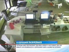 O căprioară a devastat tot în calea ei, într-un magazin din New Jersey