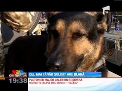 Max, vedeta teatrelor de operaţii periculoase