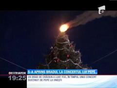Un brad de Crăciun a luat foc la un concert susţinut de Pepe