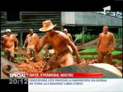 SPECIAL! Darwin s-a înşelat! Omul a evoluat din porc