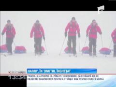 Prinţul Harry, în ţinutul îngheţat