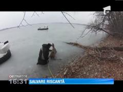 Acţiune amplă pentru salvarea a 3 căprioare