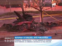 Rezultatul autopsiei lui Paul Walker a fost dat publicităţii