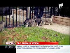 SPECIAL! Căţeluşii năzdrăvani