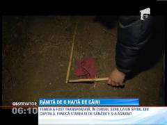 O femeie e în stare gravă după ce a fost sfâşiată de câini