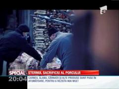 SPECIAL! Ignatul porcilor