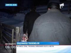 Sate izolate din cauza zăpezii, în Alba