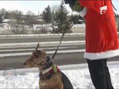 Grinch, poliţist sub acoperire!
