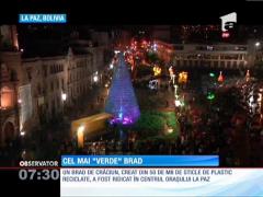 Brad ECO din sticle de plastic reciclate. 15 metri înalţime