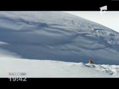 O vulpe face furori pe internet. Uite cum își caută "prânzul"