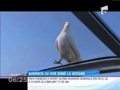 Papa s-a intâlnit cu jucătorii echipei San Lorenzo, campioana Argentinei