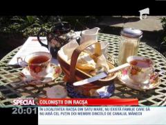 SPECIAL! Românii din Satu Mare au invadat Marea Britanie