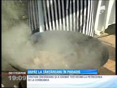 Ţânţăreanu a făcut ospăţ cu taur, porci şi o tonă de vin!