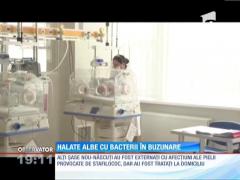 O treime dintre medicii şi asistentele maternităţii din Rădăuţi au stafilococul auriu