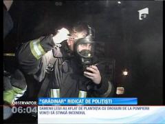 "Grădinarul" care şi-a transformat casa într-o seră de droguri, prins de politişti