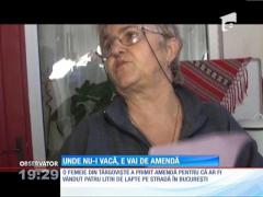 Poliţiştii au amendat-o că a vândut lapte de vacă, dar ea are doar un câine!