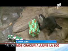 Moș Crăciun a făcut cadouri animalelor la Zoo