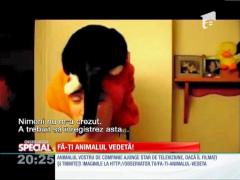 SPECIAL! Cu pisica pe cap