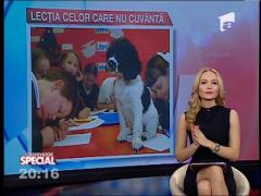 SPECIAL! Ce ne învaţă animalele