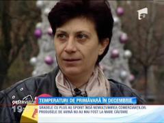 Iarna se lasă aşteptată în mai toată ţara