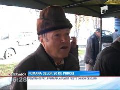 Pomana porcului de 30.000 de euro!