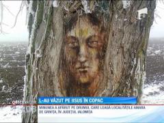 Pe trunchiul unui copac a apărut chipul lui Hristos