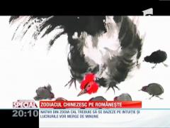 SPECIAL! Zodiacul chinezesc 2014