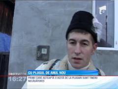 De Sfântul Vasile, se umblă cu plugul. Cine mai păstrează tradiția