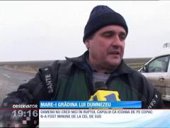 Realitatea e dură! Chipul apărut pe copacul din Ialomiţa e opera unui vânzător de pepeni