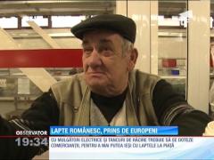 UE vrea să interzică vânzarea laptelui proaspăt la tarabă