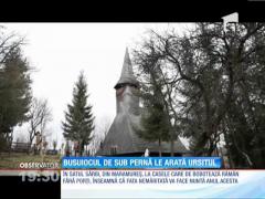 De Bobotează, busuiocul de sub pernă arată URSITUL