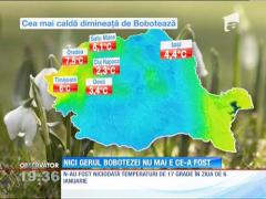 Boboteaza n-a venit cu ger în acest an!