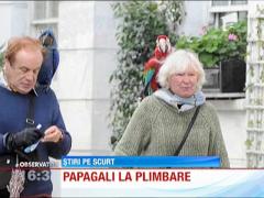 Ultima modă în UK: la plimbare cu papagalii!