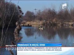 Primăvară în miezul iernii