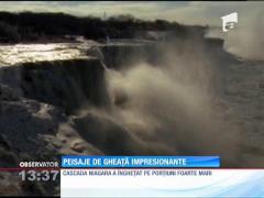 Cascada Niagara a ÎNGHEȚAT pe porţiuni foarte mari