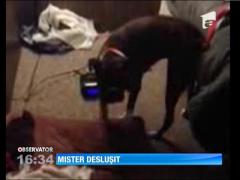 O cameră de filmat a elucidat misterul întârzierilor frecvente ale unui american la serviciu