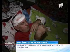 Mutilat de o haită de câini, cere despăgubiri de un milion de euro!