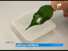 Cum vor arăta lentilele de contact în viitor