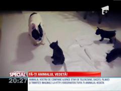 Special! Obiceiuri de tată