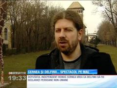 Remus Cernea vrea să transforme delfinii în persoane
