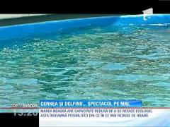 Observator 13 Weekend