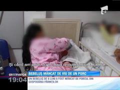 Observator de weekend