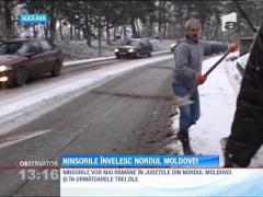 COD GALBEN de ninsori în România. Zăpada învelește Moldova