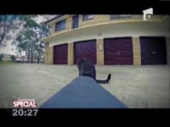 Fă-ți animalul vedetă! Pisica și sportul extrem