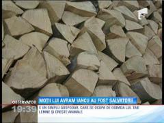 Cine sunt salvatorii medicilor din avionul prăbuşit