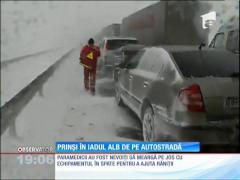 Iadul ALB s-a dezlănţuit în forţă pe A1!