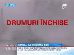 Observator de weekend